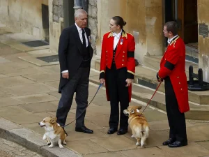 pangeran-andrew-mogok-urus-anjing-corgi-warisan-ratu-elizabeth-ii-setelah-tersingkir-dari-agenda-natal-kerajaan